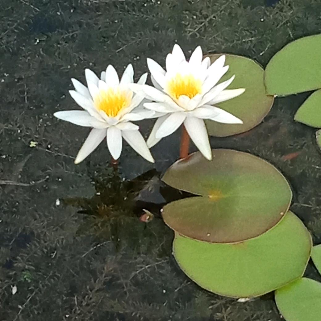 九月清风