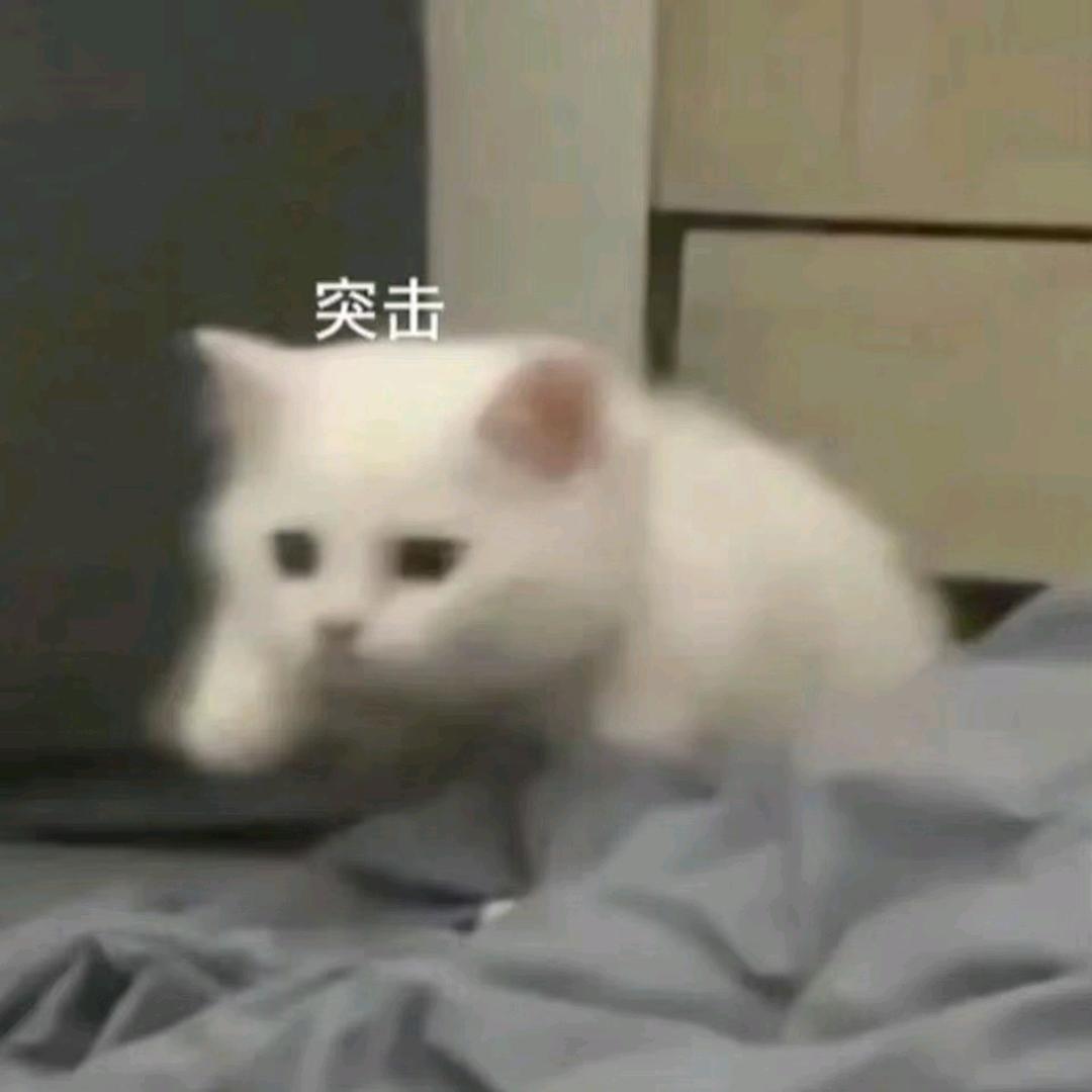 耶啵要麻酱
