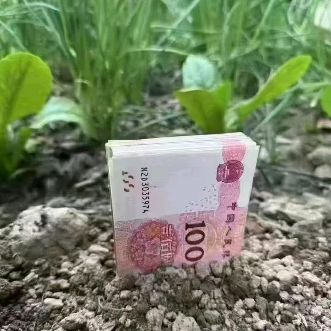 BlMT我就赌你