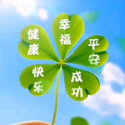 小小小羊羊