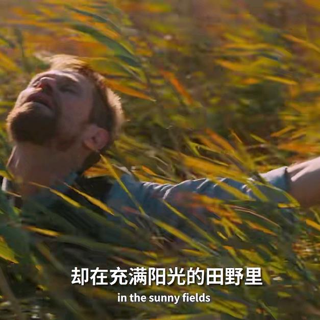 想做梵高的画笔