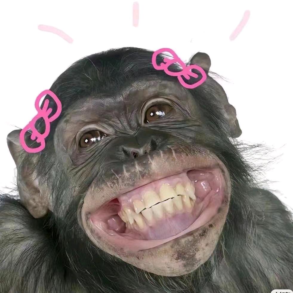 社恐小元