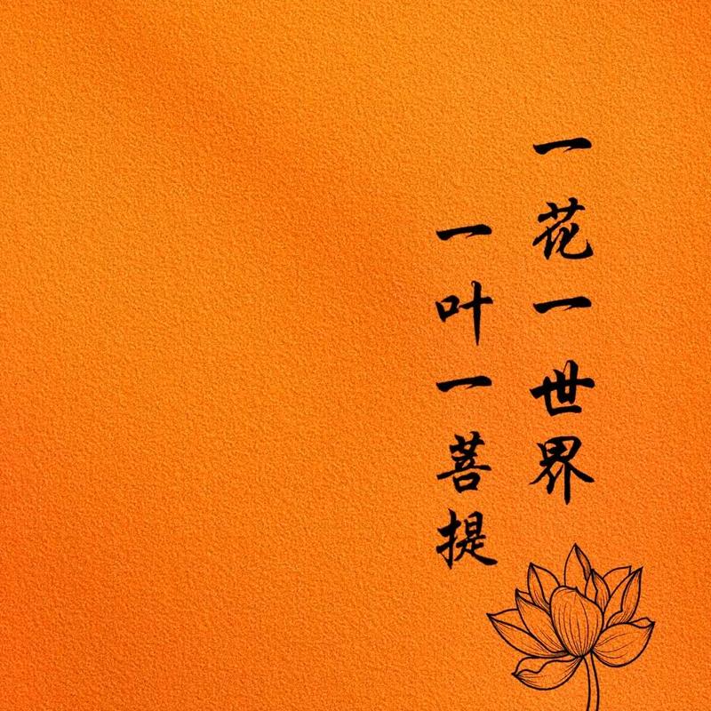 💍💍八格格👑👑