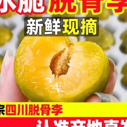 冰冰甜甜脱骨李厂家