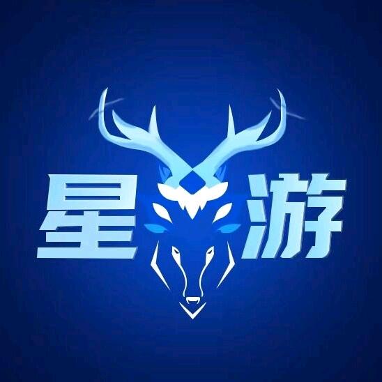 泰安星游网络科技有限公司