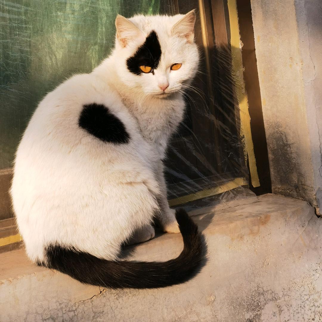小小的人
