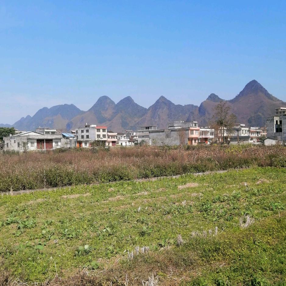 黄少爷