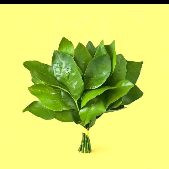 黒哥哥（低保户）