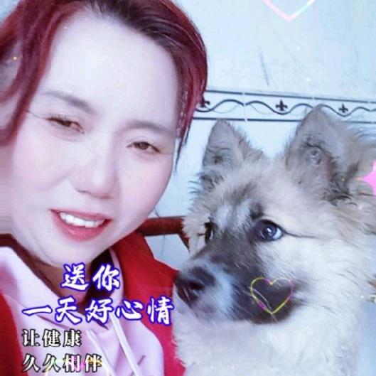 牡丹花