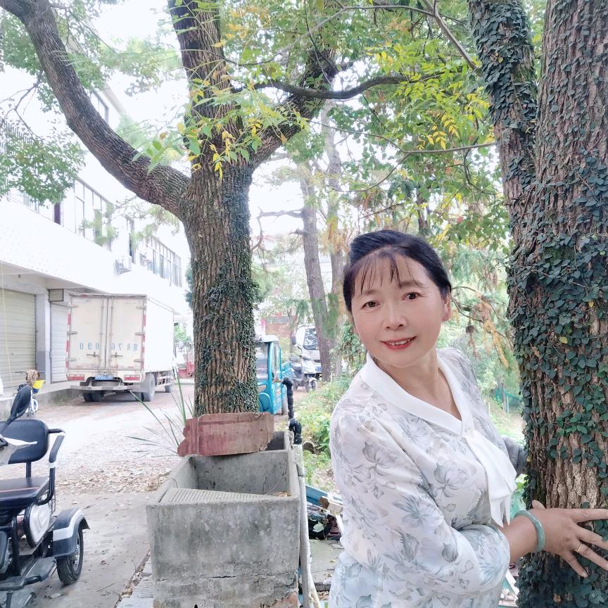 山清水秀