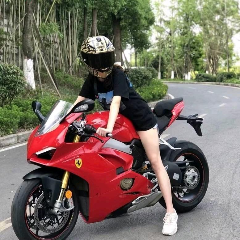 鹏程万里 八方来财009🌈💫