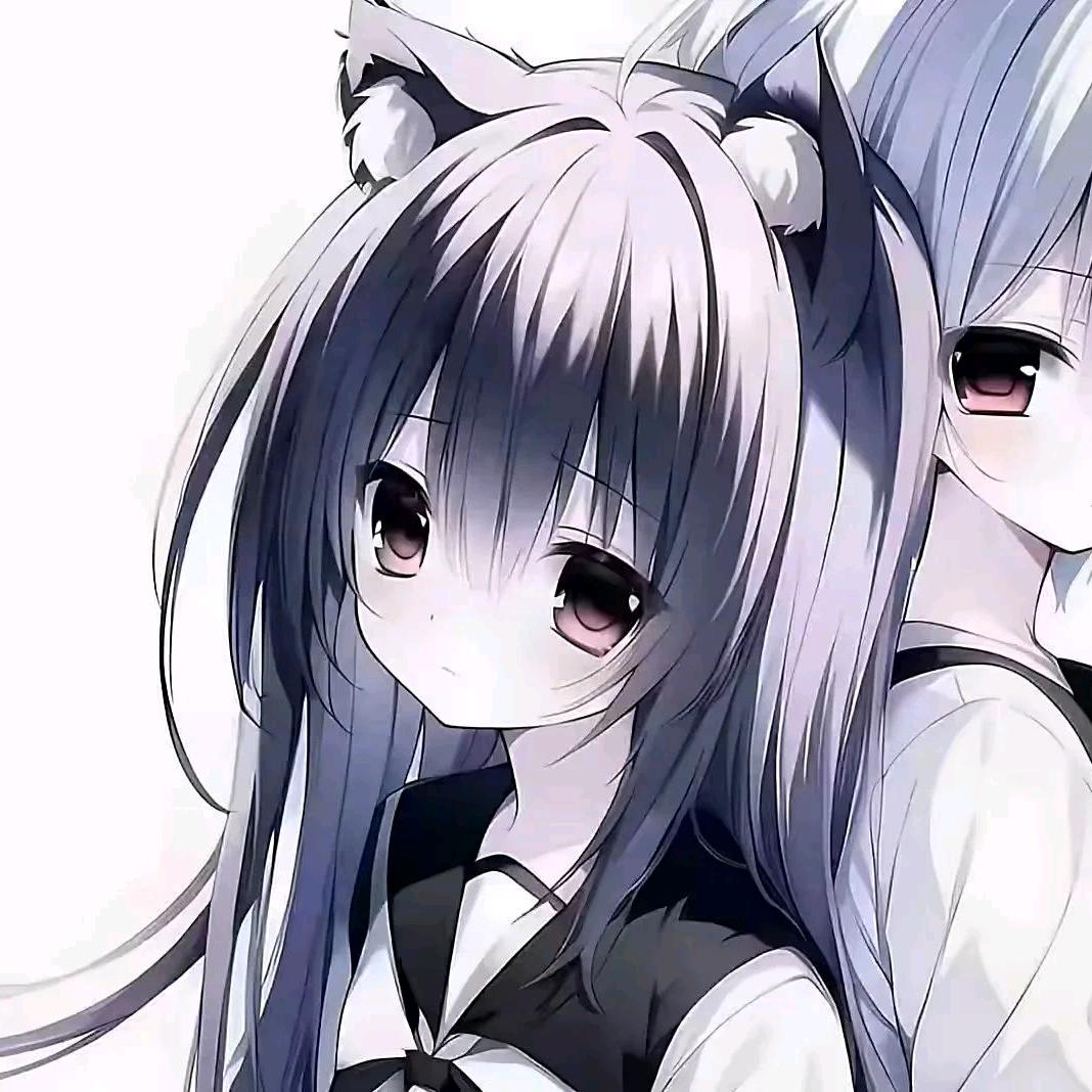 A蔡蔡