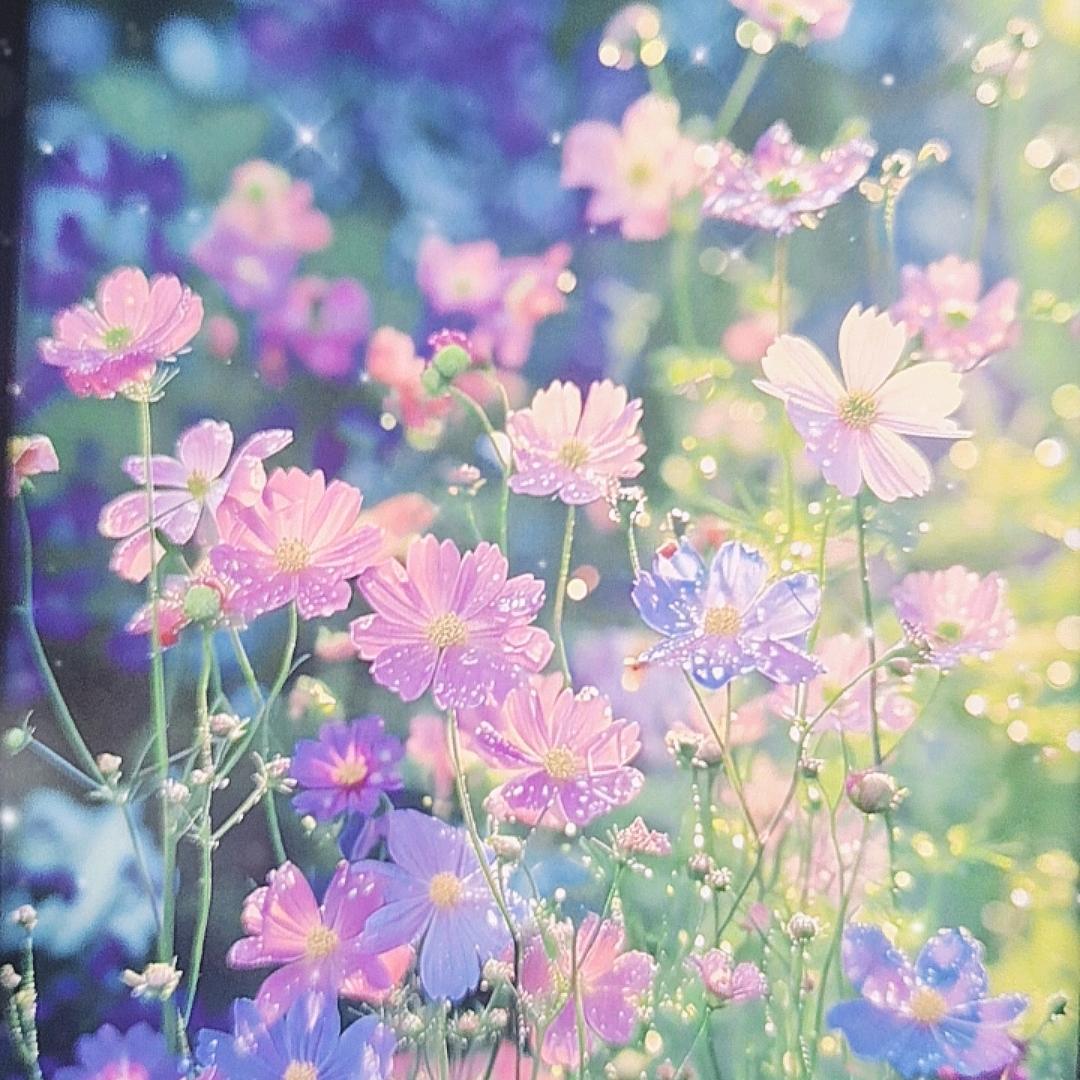 顺风顺水