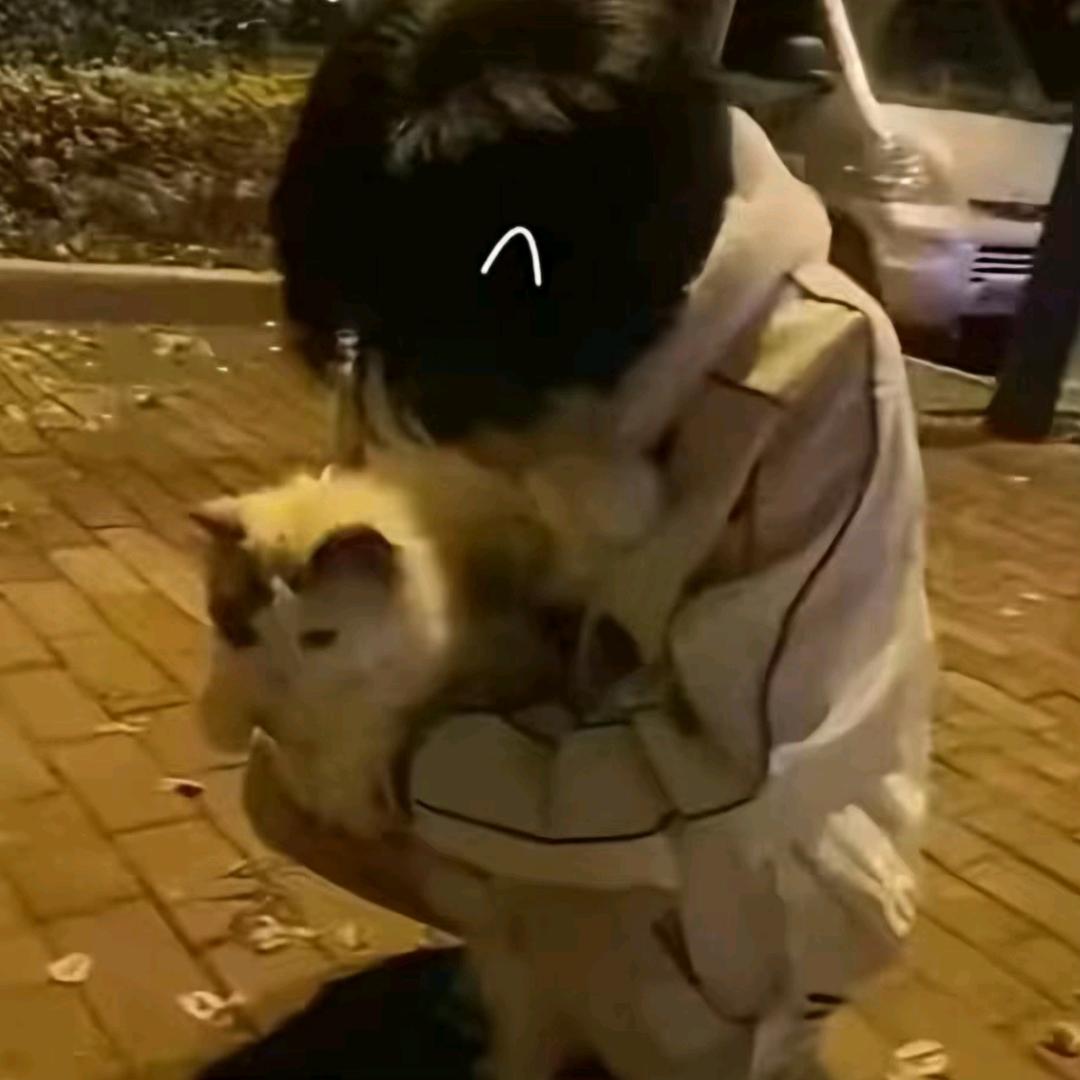 幡