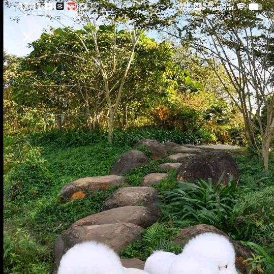 最美的相遇[拒绝私聊]