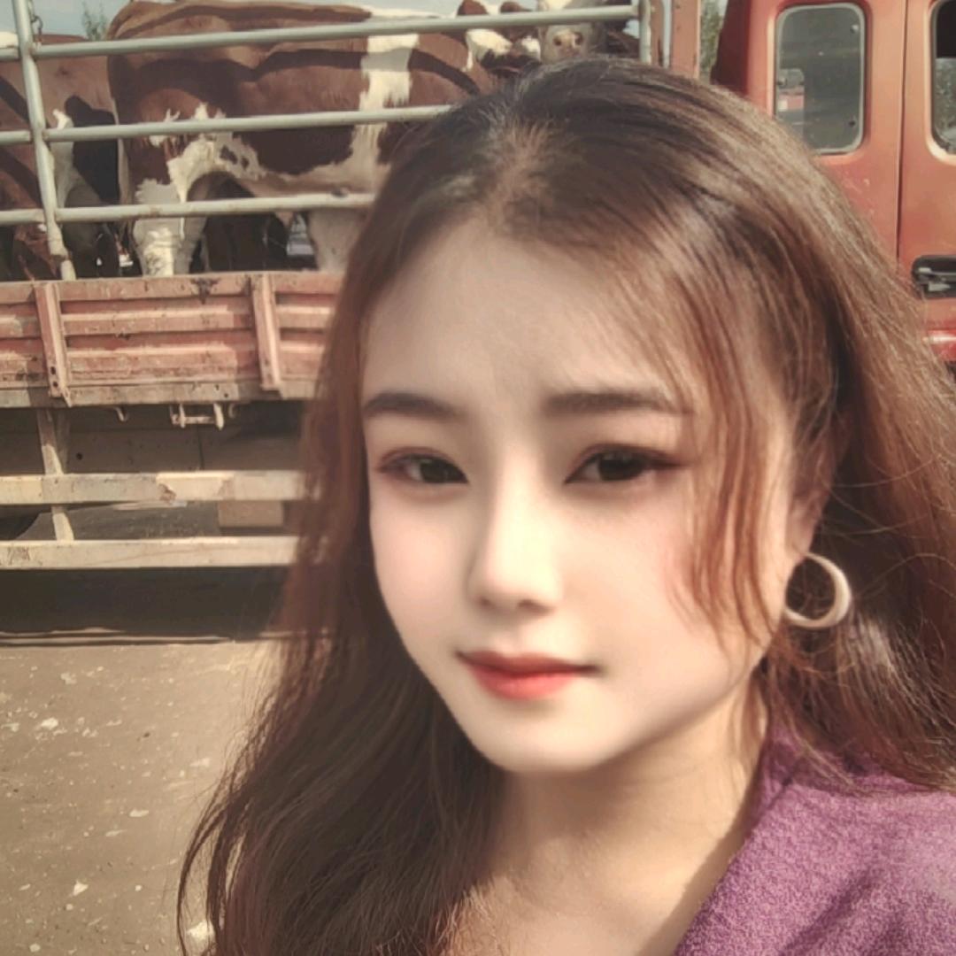 张北牛市琪琪~志成牧业