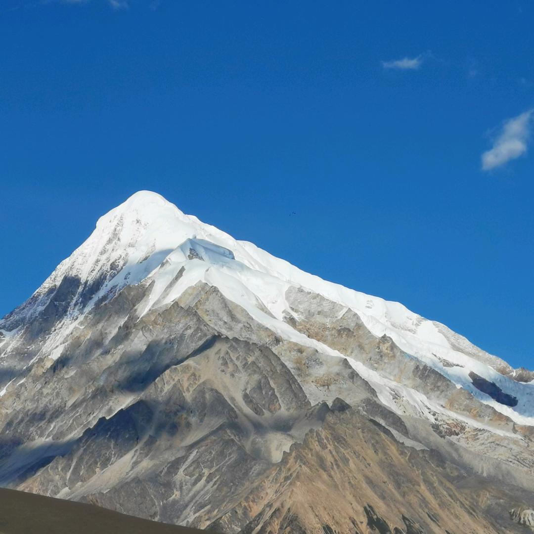 金秋良品种植专业合作社