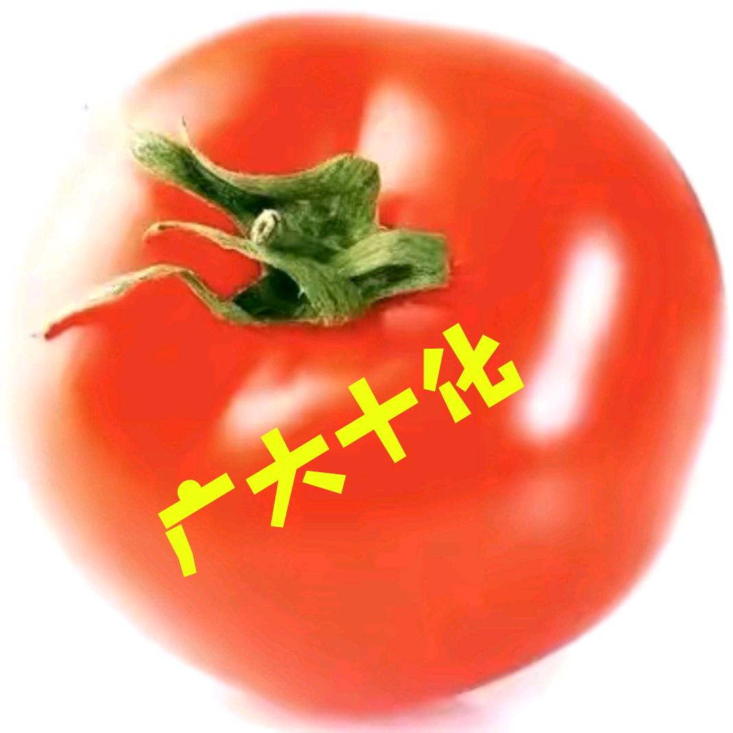 广大十化