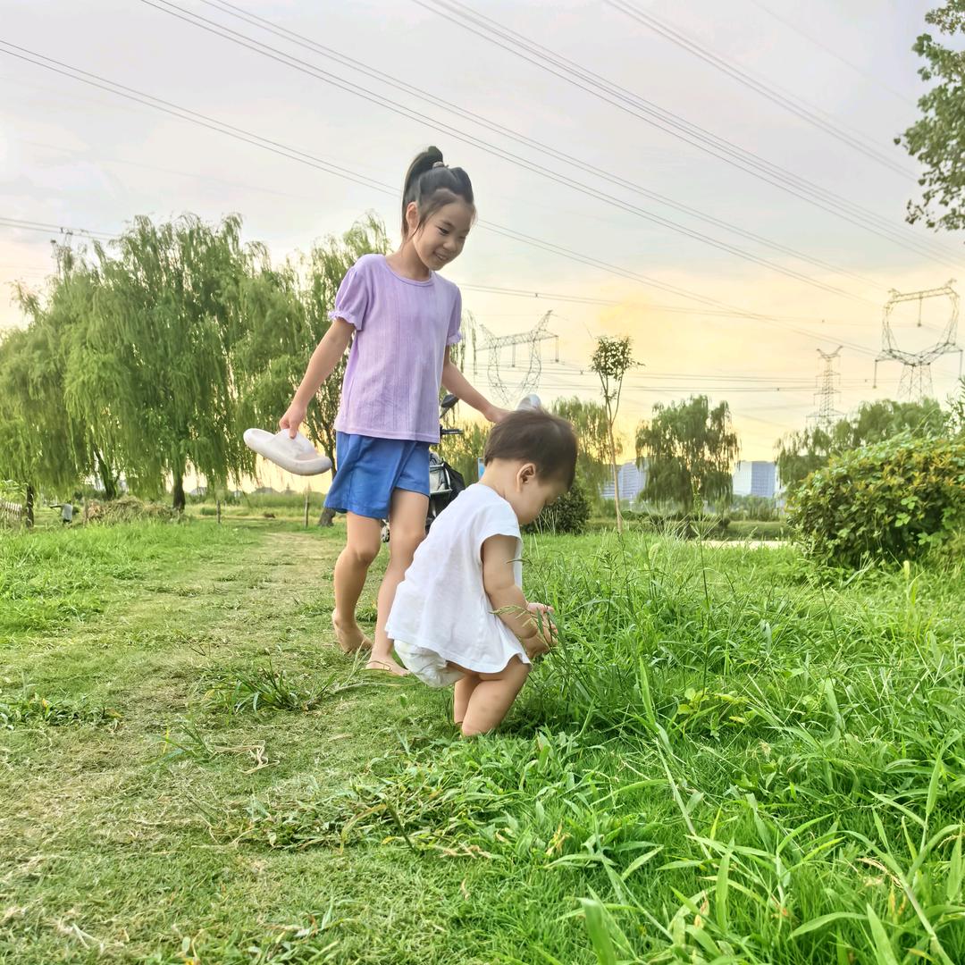 牛爸的小公主们