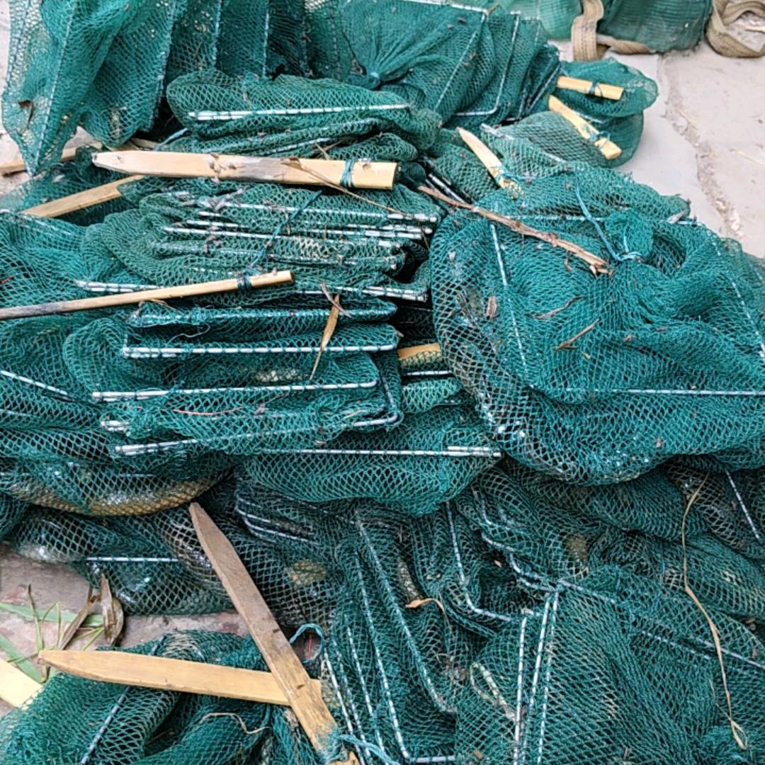 户外《小张》