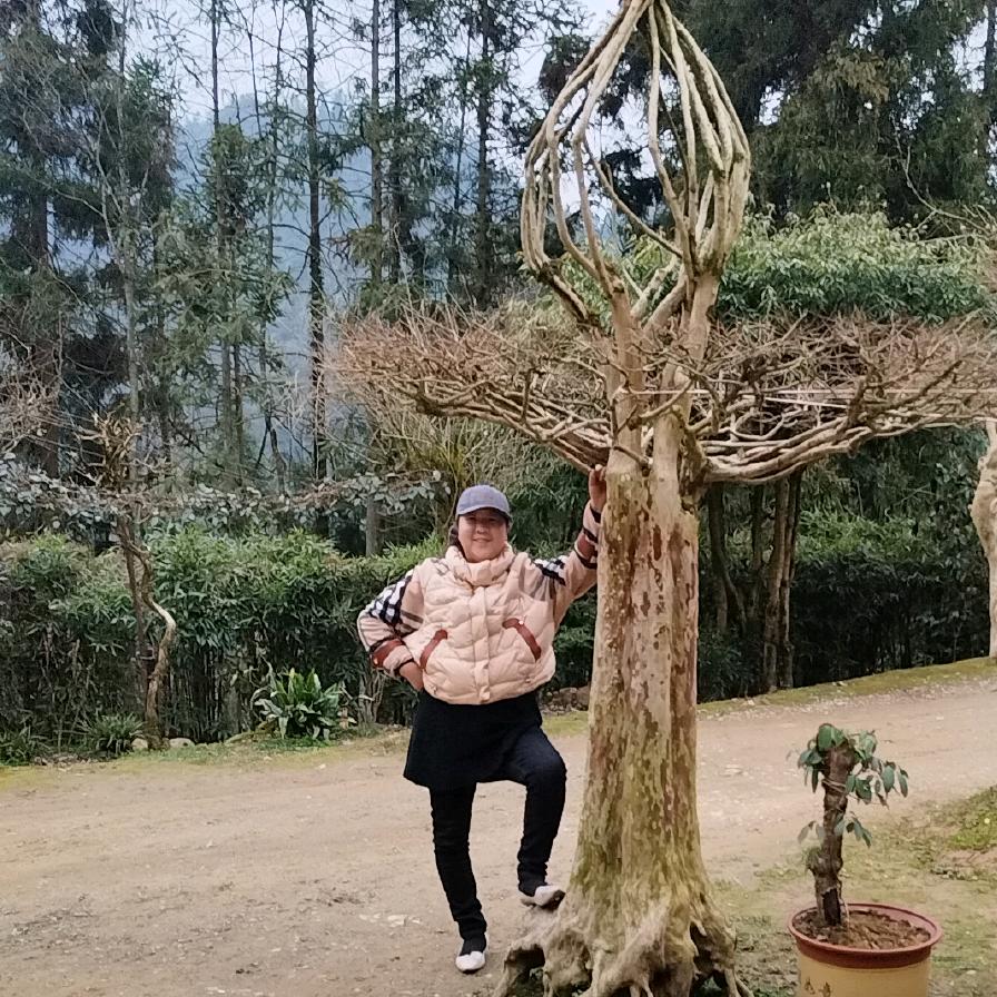 田姐儿