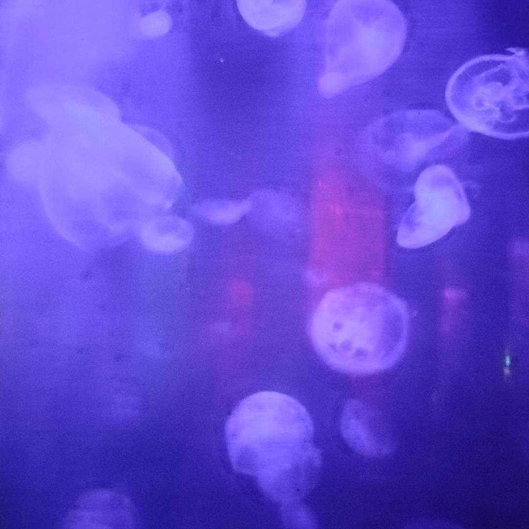 123爆米花