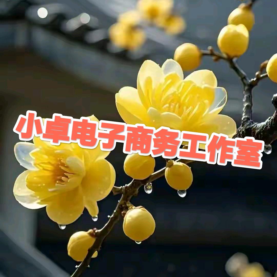 小卓电子商务工作室