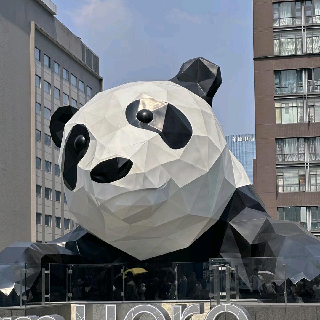 贵州粉笔派大星