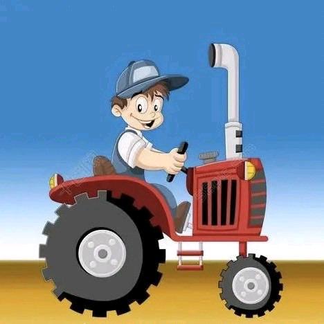 赛丁