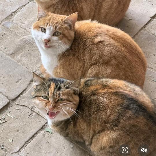 健康十一月十八