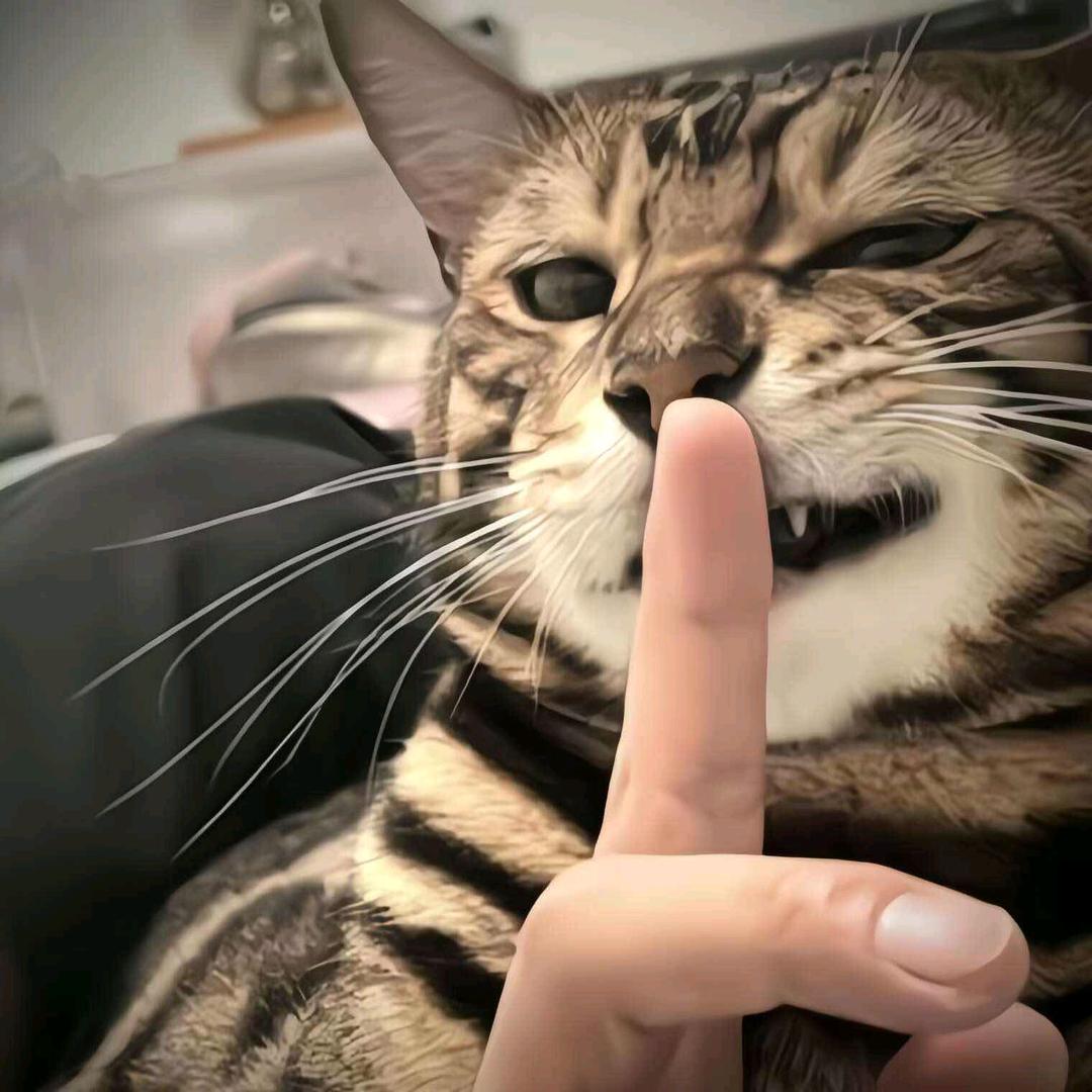 潇