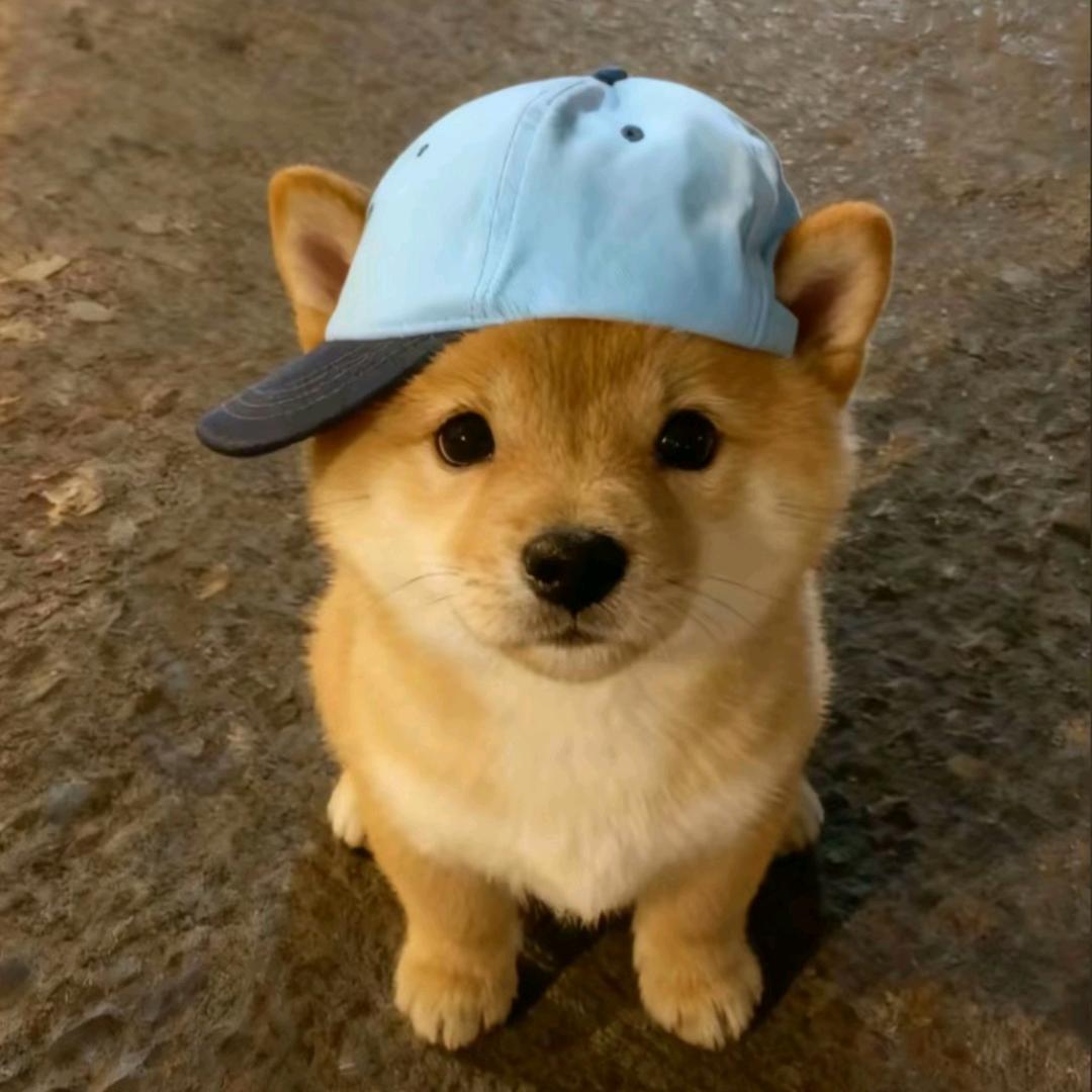 随缘了