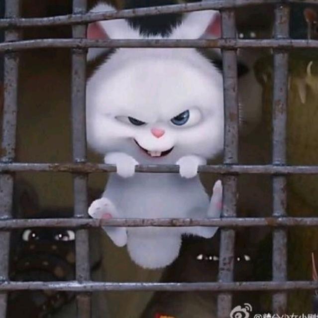 兔子吃窝边草