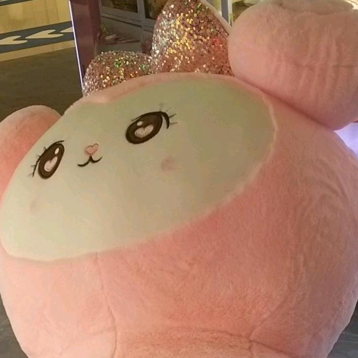 🐰meixiaomei🌈