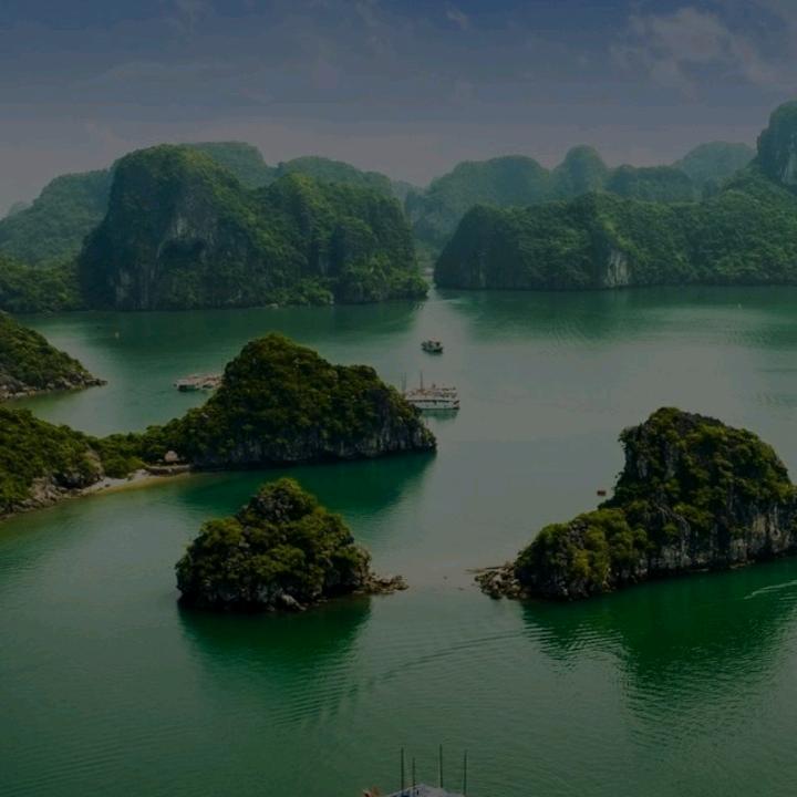 🐉春蕾风生水起🐉