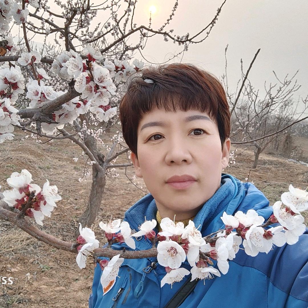 杨老师数学课堂