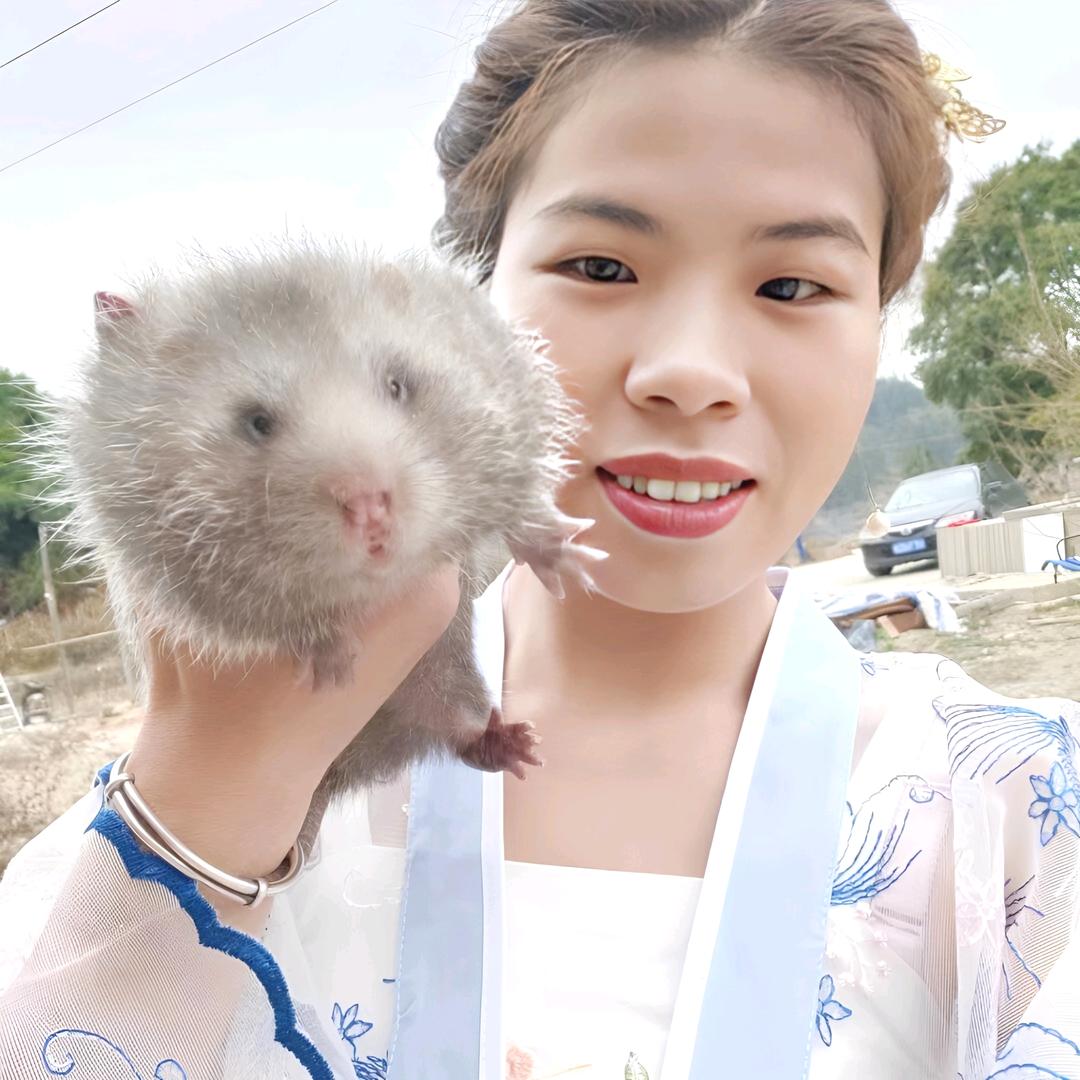 连山竹鼠妹