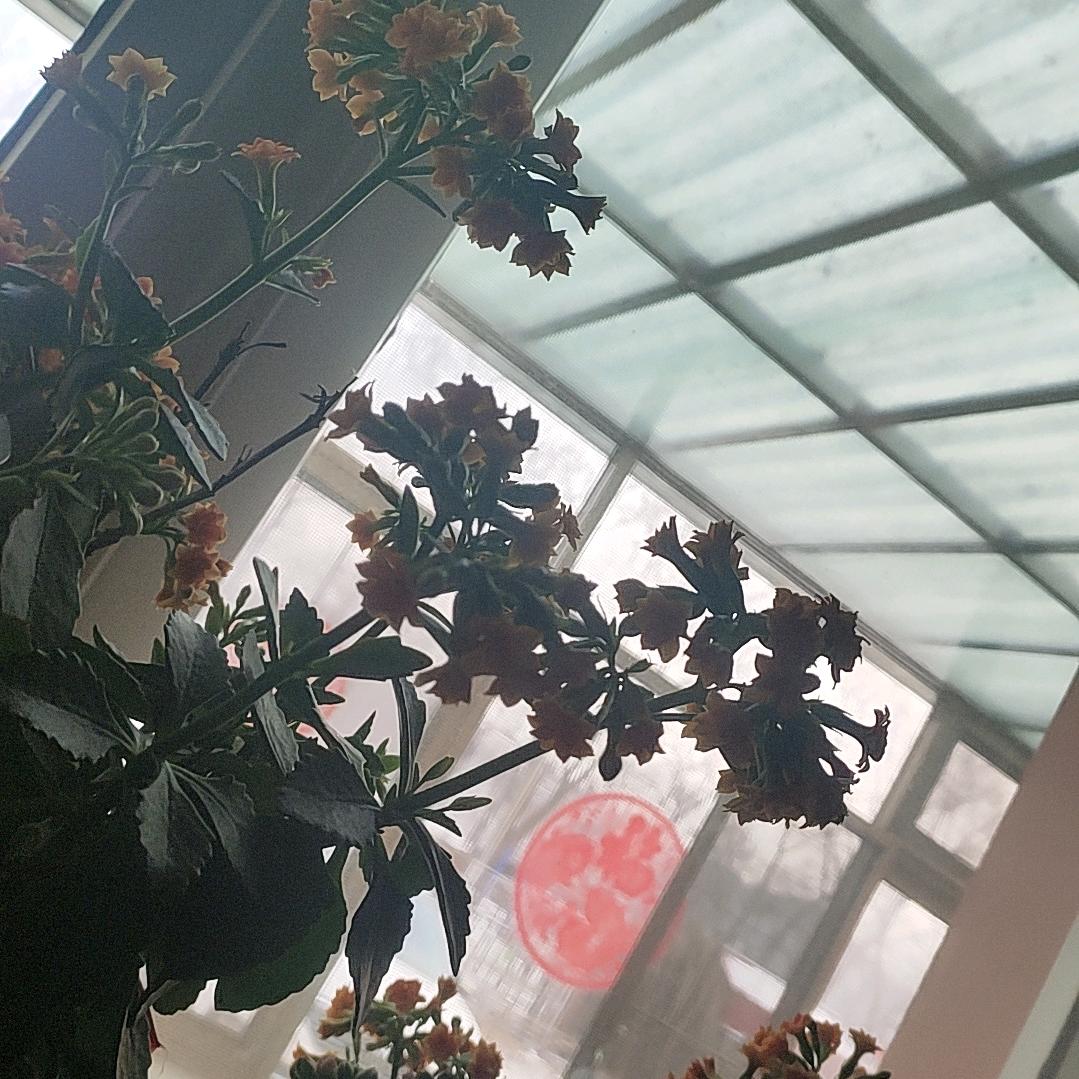 我爰独自闯天涯