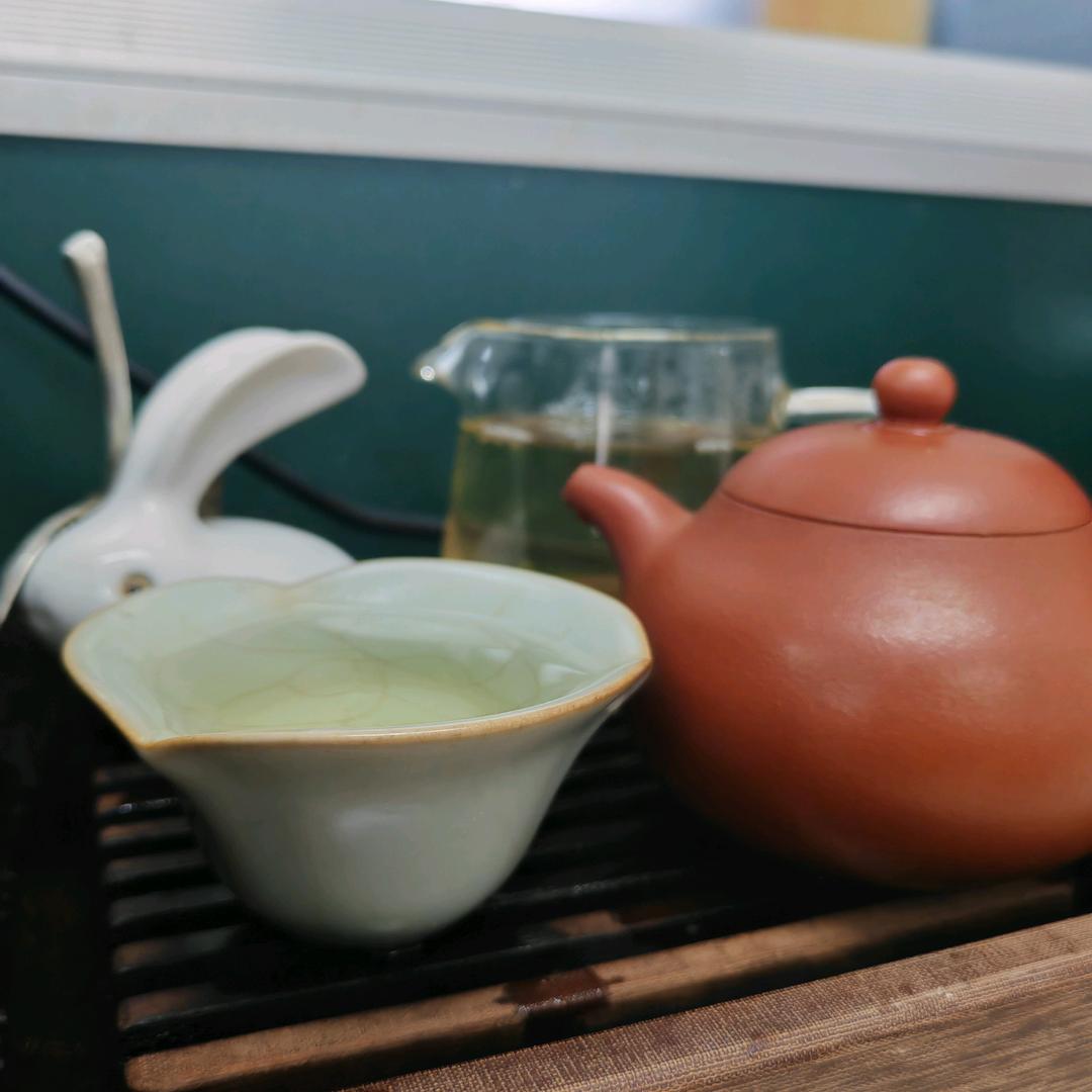 爱喝普洱茶的兔子