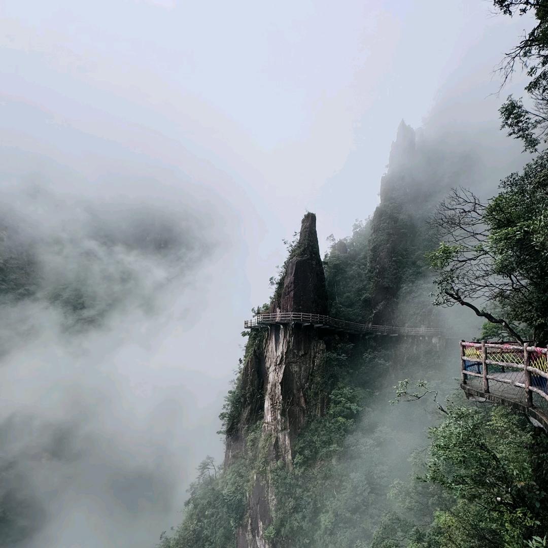 柏
