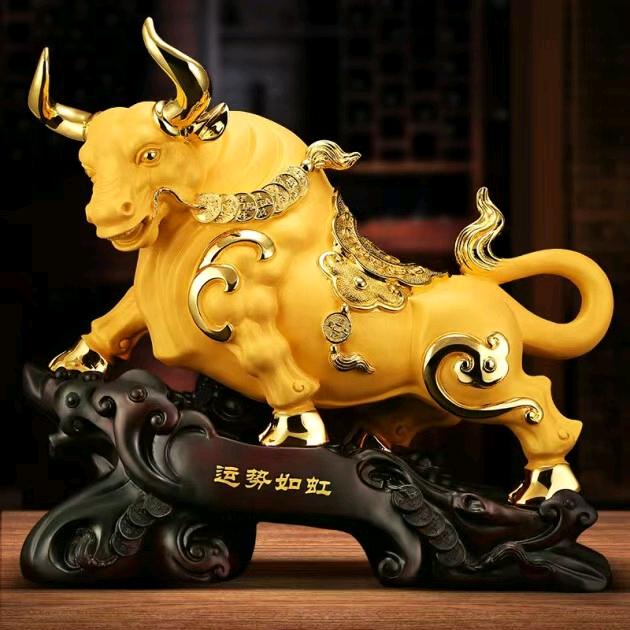 毛蛋儿