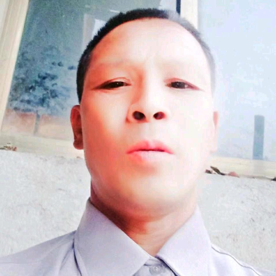 我士打工仔挖树仔