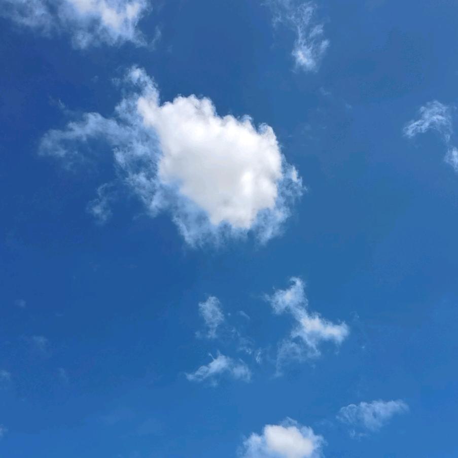 🍀未来有我🍀