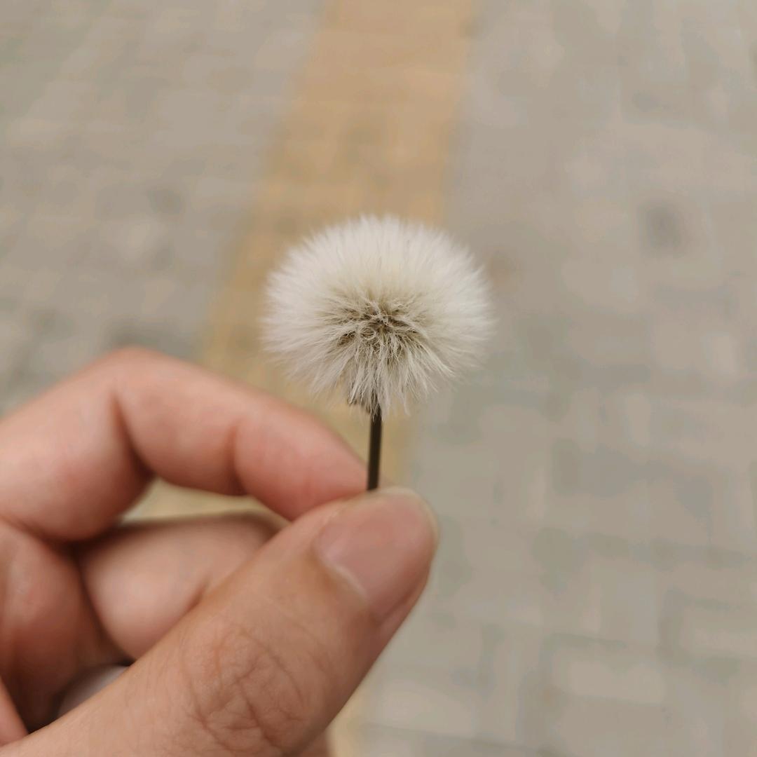 心跳在右边