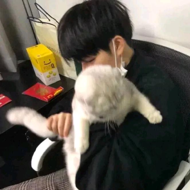 城铭装饰（张哥）小号