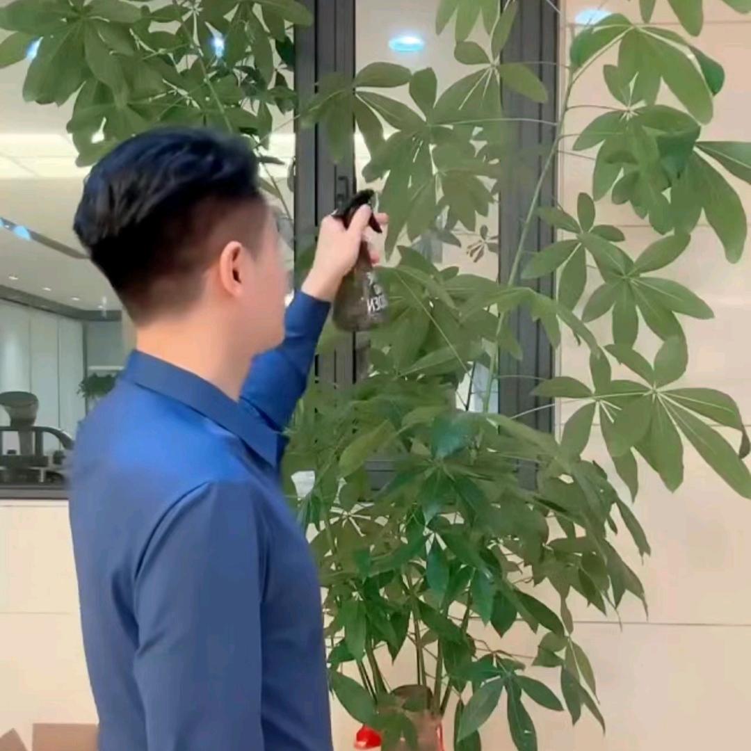 张总🍇🍒(好物在橱窗)