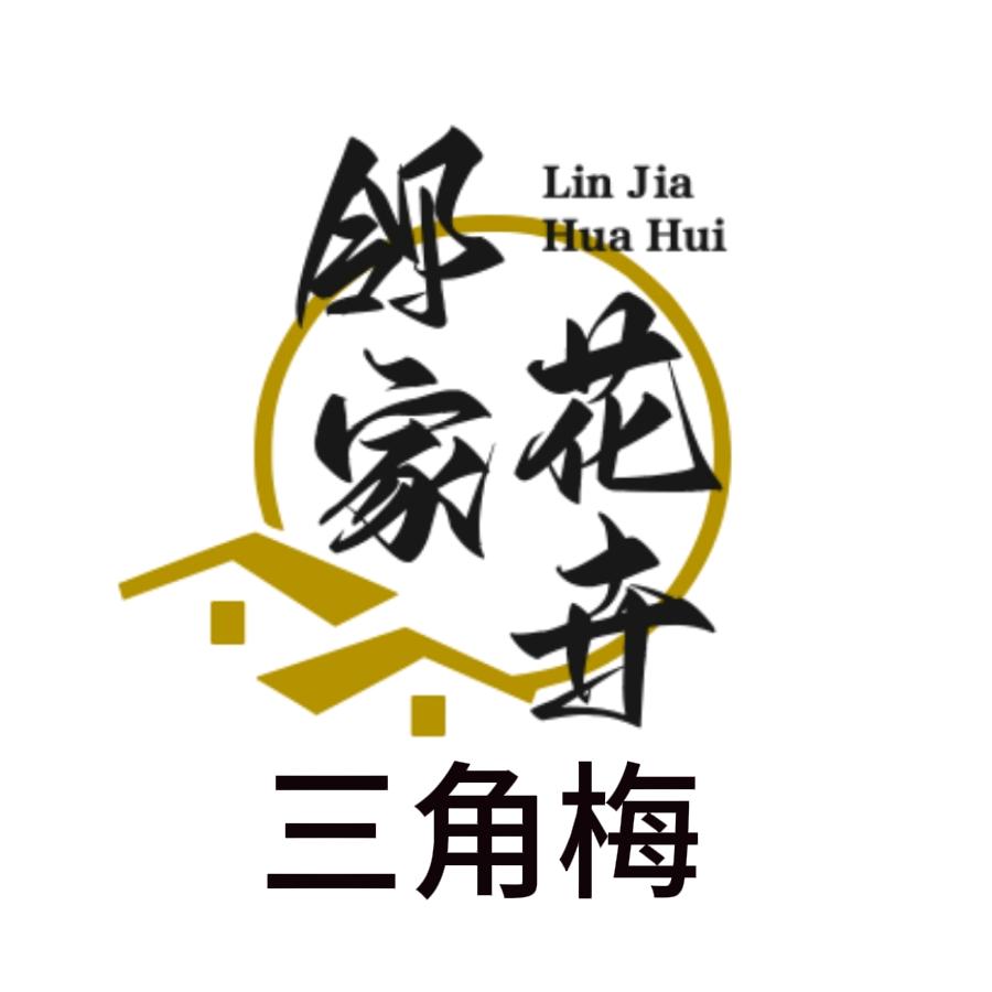 邻家花卉（三角梅）