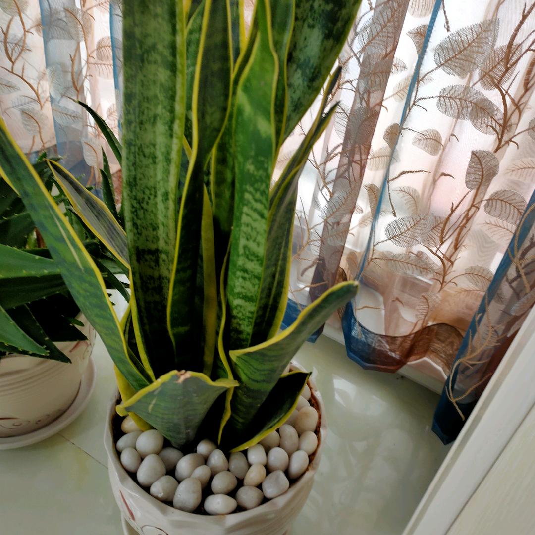 幸福在一瞬间拒绝私聊