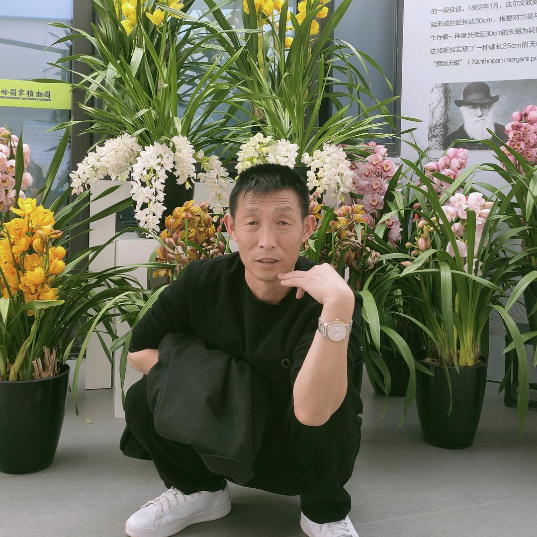 关中老王
