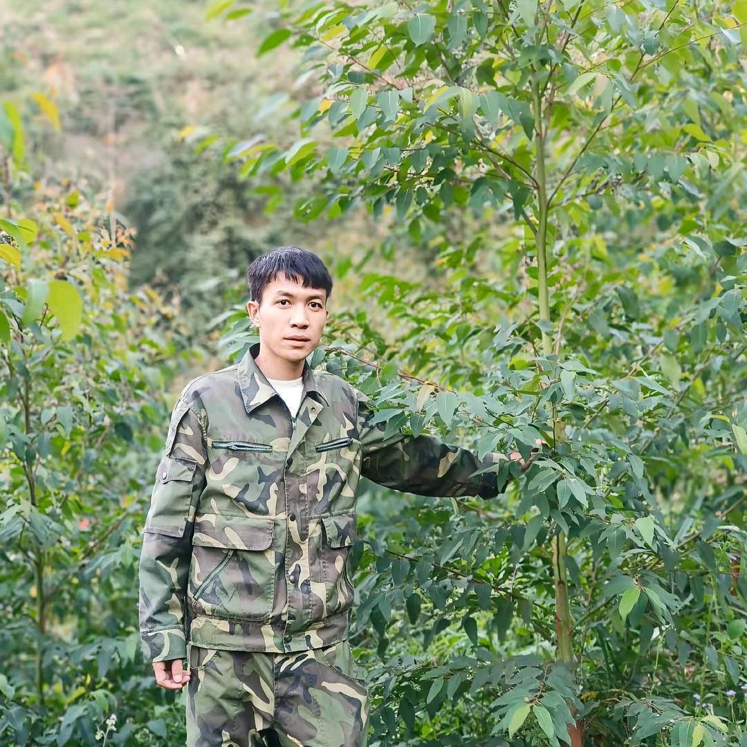 林业调查规划设计（小陆）